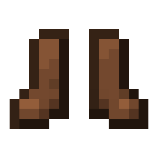Leather Boots